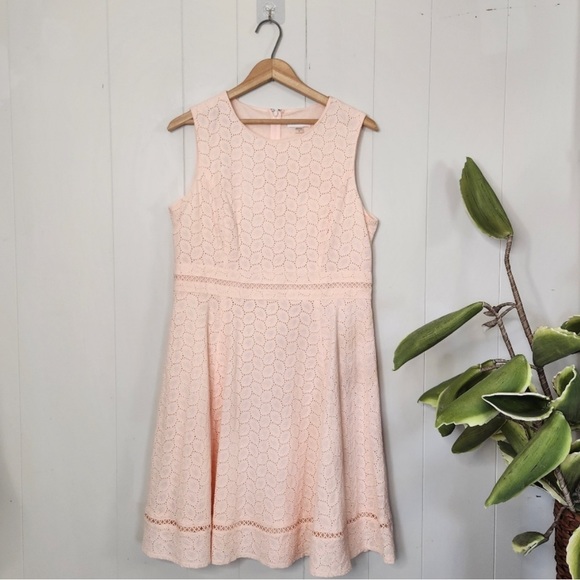 Calvin Klein Blossom Pink Cotton Eyelet Fit & Flare Dress Summer Wedding A-Line - Picture 2 of 6